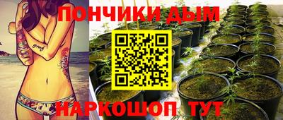 твердый Ставрополь